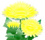 香典返し 花ロゴ